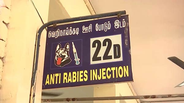 Over 30 people bitten by rabid dog..People panic in Puducherry Over 30 people bitten by rabid dog..People panic in Puducherry