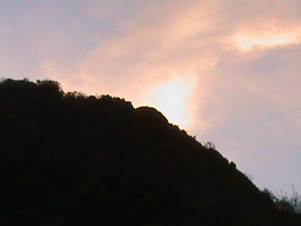 சர்க்கரை நோய் குணமாகும்