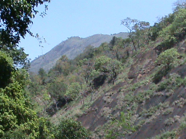 நினைத்தவை நிறைவேறும்