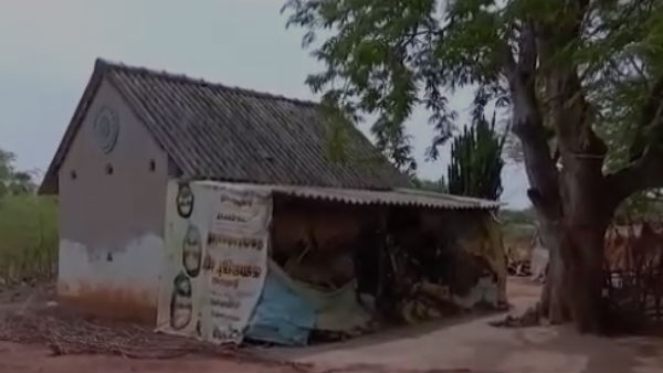 Husband murders wife in a family dispute near Sivagangai Husband murders wife in a family dispute near Sivagangai