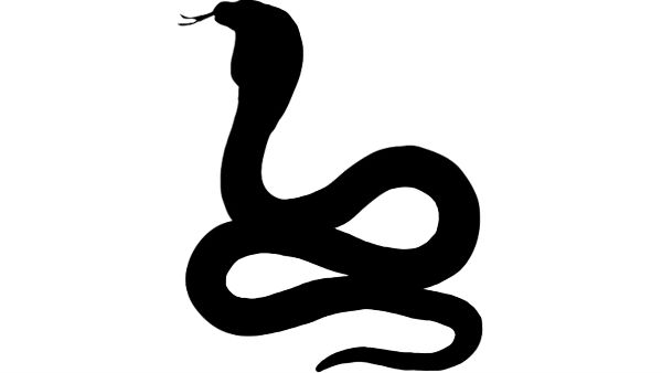 8 feet long Snake was sleeping in the School bus near Arani 8 feet long Snake was sleeping in the School bus near Arani