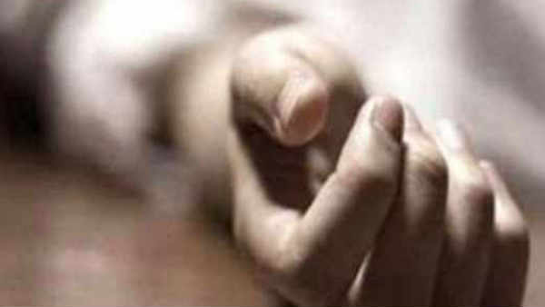 மா. சுப்பிரமணியன்