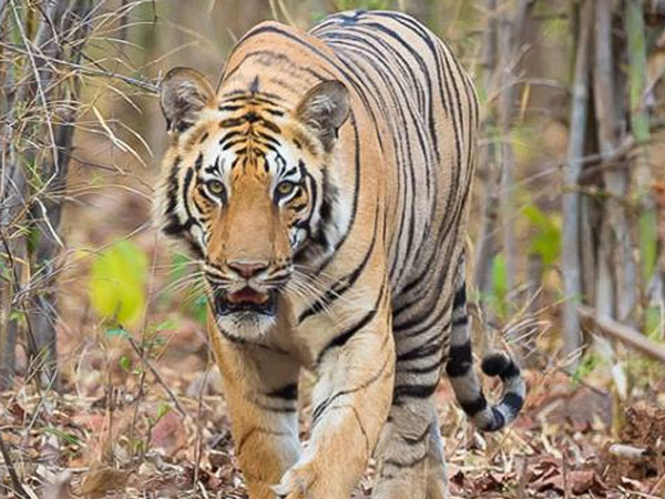 5-வது இடத்தில் தமிழகம்