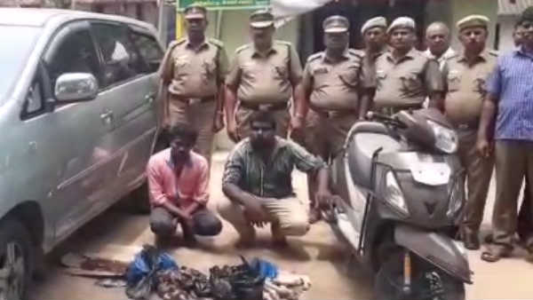 Two people arrested for selling deer meat Two people arrested for selling deer meat