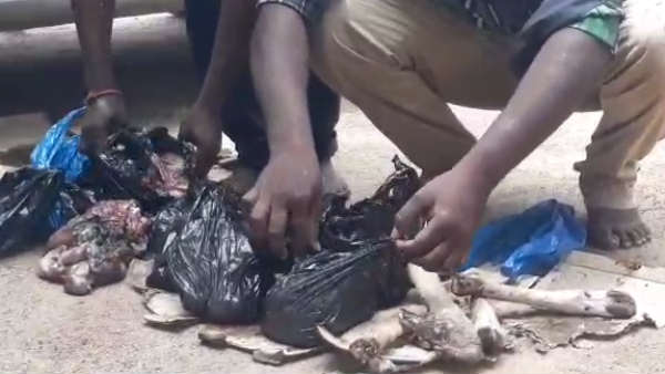 Two people arrested for selling deer meat Two people arrested for selling deer meat
