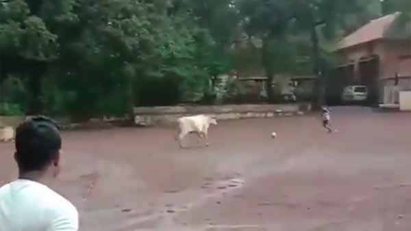 தாய்மை