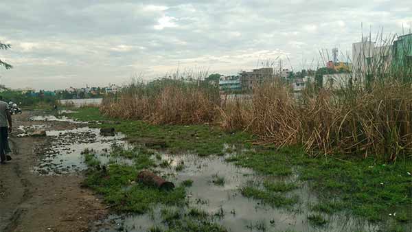 முயற்சி