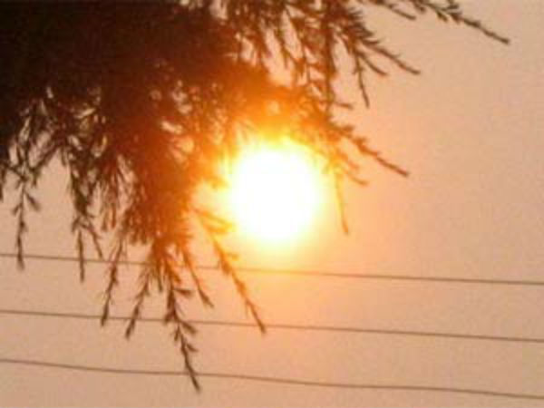 சூரியனை வணங்குங்கள்