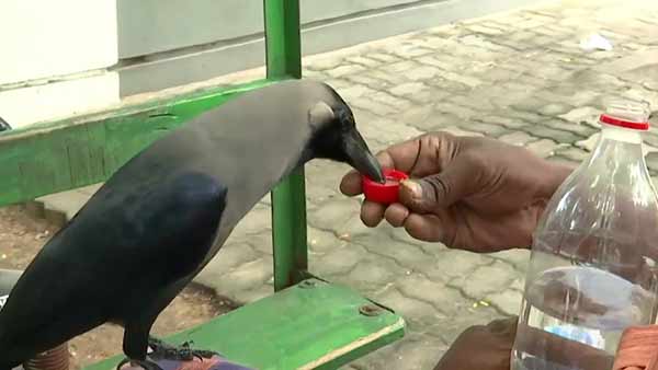 பாசம்
