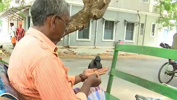 3 வேளை உணவு