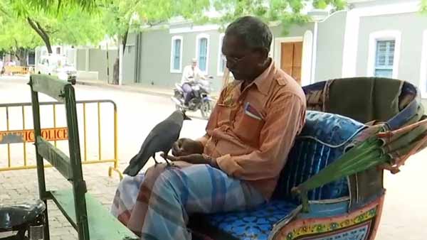 திண்பண்டங்கள்