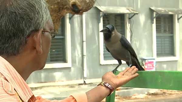 முட்டை, மீன்