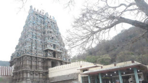 பூக்களால் அலங்கரிக்கப்பட்ட மீனாட்சி