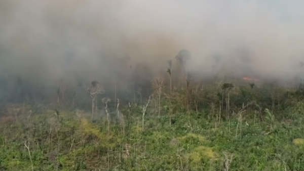 பிரேசில், வெனிசுலா, பொலிவியா