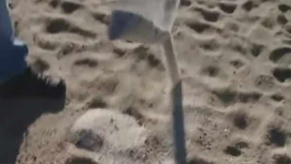 சிறை தண்டனை