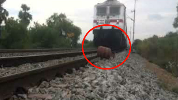 AP Man keeps LPG cylinder on train track to make video for youtube AP Man keeps LPG cylinder on train track to make video for youtube