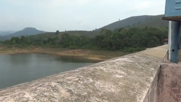 ஆய்வுகள்
