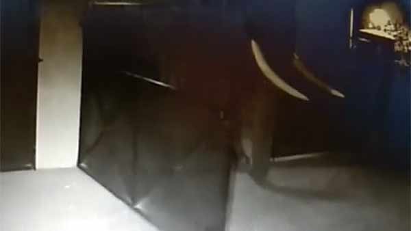 பீதி