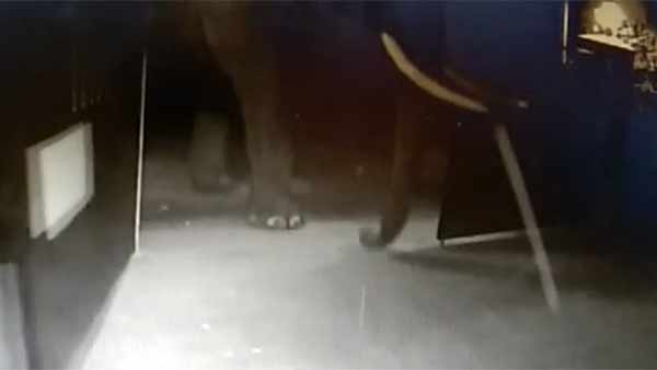 பரிதாப பலி
