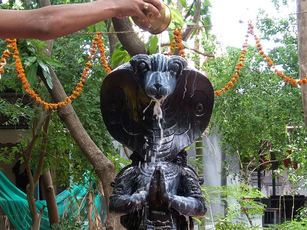 நீண்ட ஆயுள் கிடைக்கும்