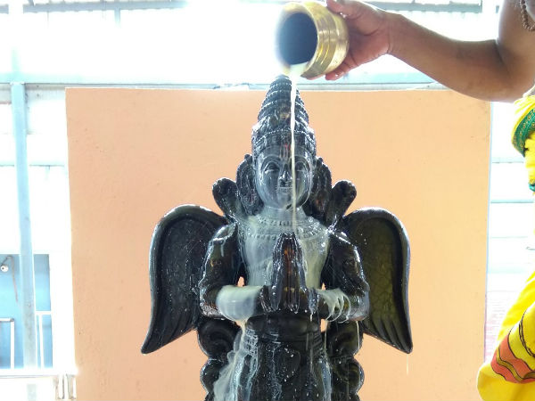 பட்சி ராஜா கருடன்