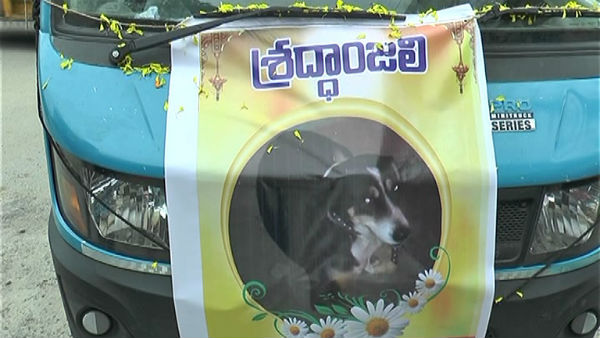 nizamabad people gives last respect to died dog and Buried nizamabad people gives last respect to died dog and Buried