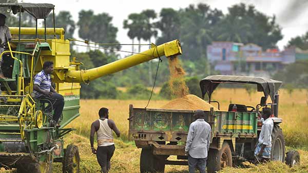 Tamil Nadu farmers ignoring subsidy seed .. Interests in cultivating rice in Andhra and Telangana Tamil Nadu farmers ignoring subsidy seed .. Interests in cultivating rice in Andhra and Telangana