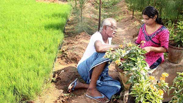 ஏக்கருக்கு 10 லட்சம் லாபம்