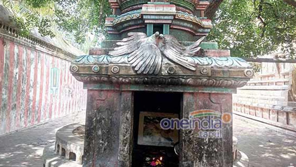நன்மை செய்யும் ராகு