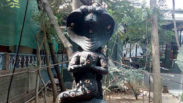 நல்லது செய்யும் ராகு