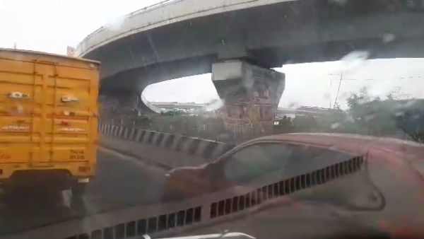 சிவப்பு தக்காளி