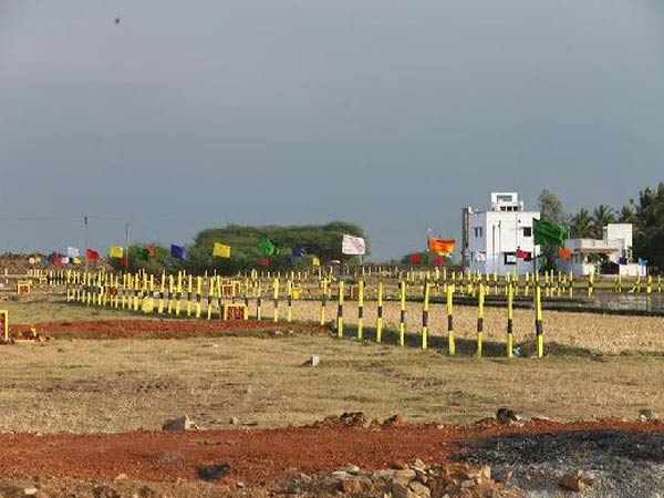 உற்பத்தி துறை பூஜ்யம்