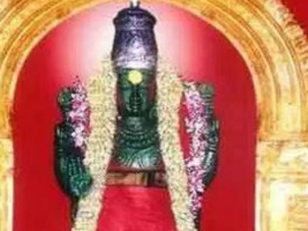 சுறுசுறுப்பு அதிகரிக்கும்