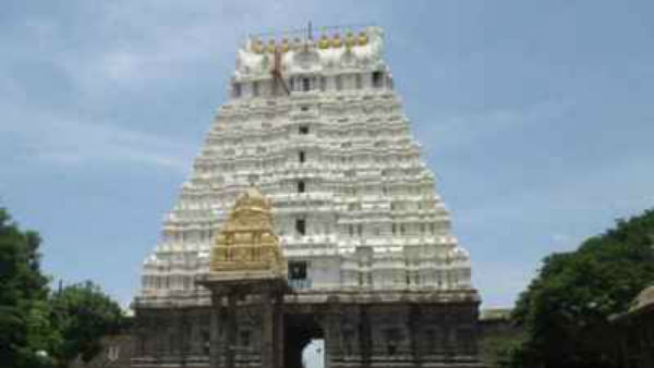 40 ஆண்டுகள் குளத்திற்குள் சயனம்