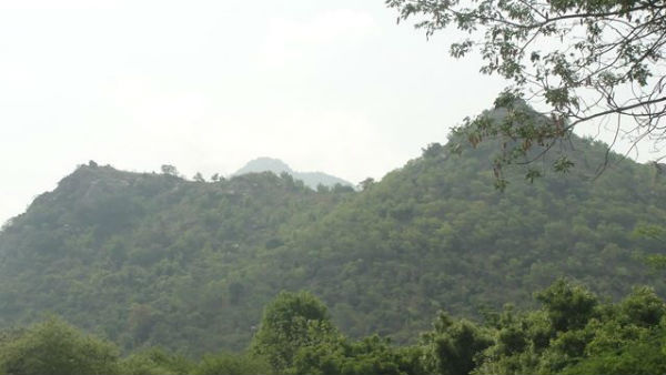 வருடம் முழுவதும் கிரிவலம்