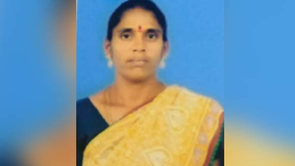 வளர்ப்பு நாய்