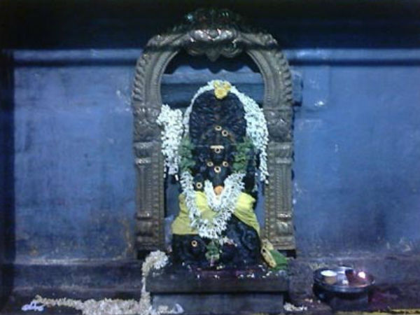 சிங்கம் போன்ற வீரம்