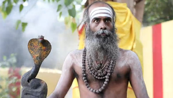சேவகி ஜானு
