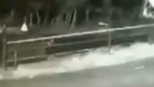 பதற வைக்கும் காட்சி