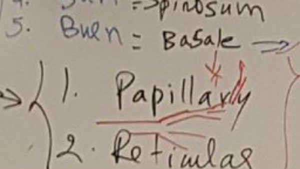 முதுகில் குழந்தையுடன் பாடம்