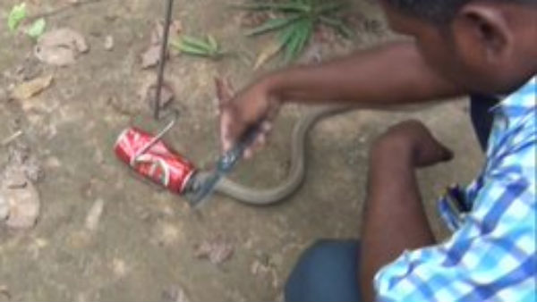 உயிரை பற்றி கவலையில்லை