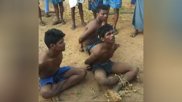 A cow harassed by 3 youngsters near Tiruppur A cow harassed by 3 youngsters near Tiruppur