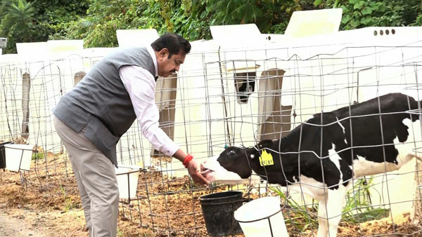 எப்படி அதிபர்