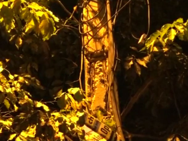 உறவினர்கள்