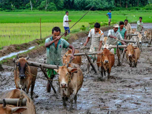 விவசாயிகளுக்கு உதவி தொகை