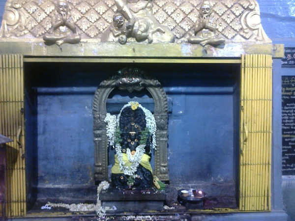 குரு சுக்கிரன் பார்வை