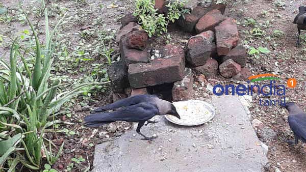 முன்னோர் தர்ப்பணம்
