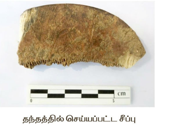 திமில் காளை எலும்பு