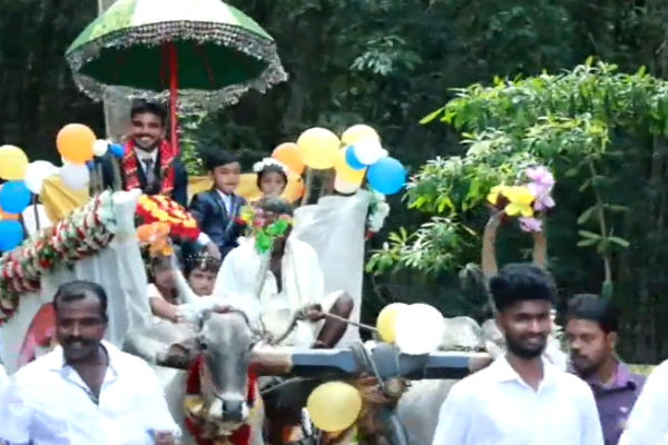 bullock cart procession in kulasekaram marriage bullock cart procession in kulasekaram marriage