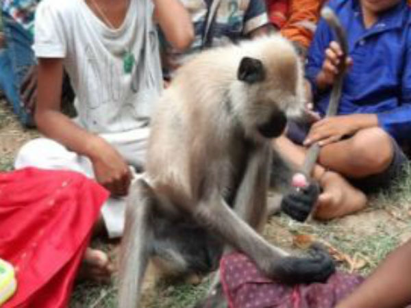 காயப்படுத்தாத லட்சுமி